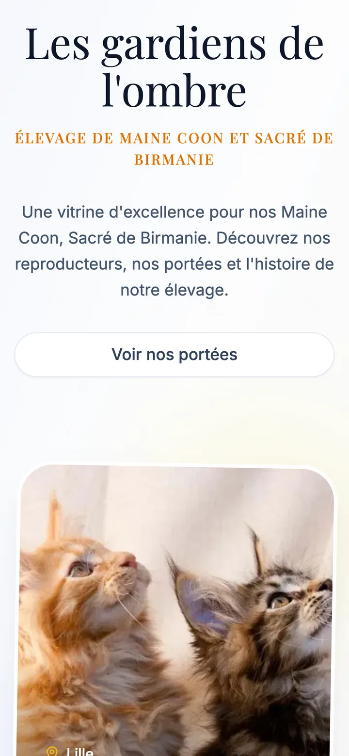Le même site, vu sur téléphone